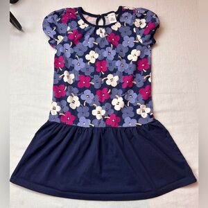 Gymboree Blue and Pink Floral Kids Dress